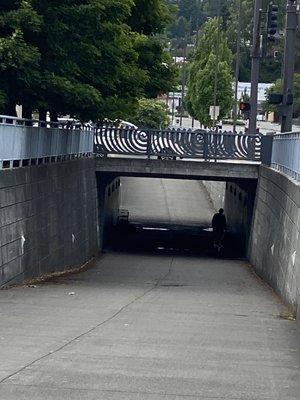 Sleeper under trail bridge