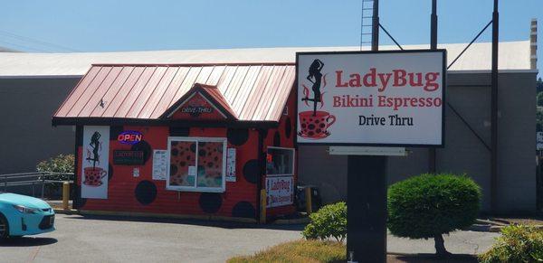 Ladybug Bikini Espresso