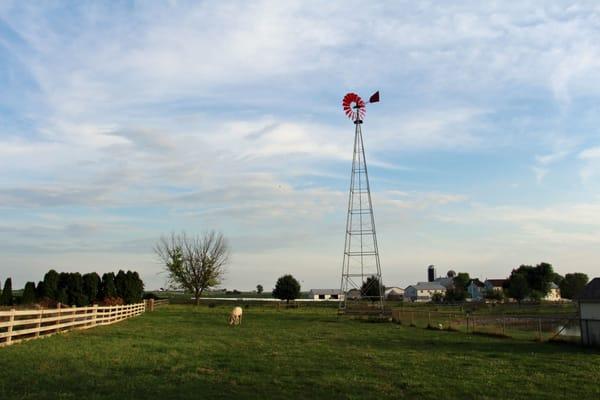 Amish Farm Stay