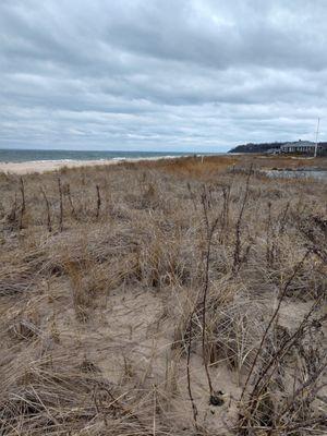 Kenney's Beach