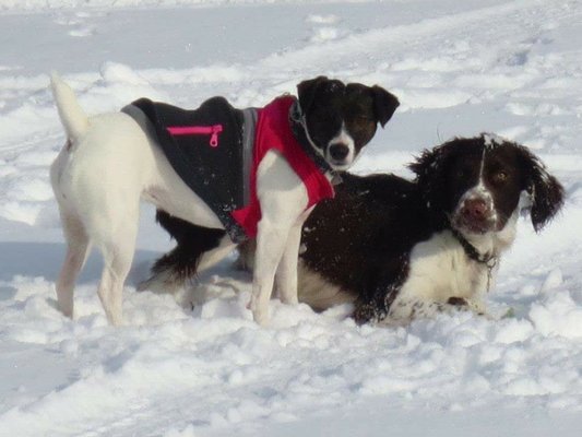 My babies out ice fishing with me.