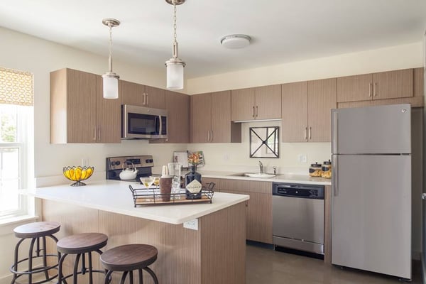 Luxury apartment kitchen