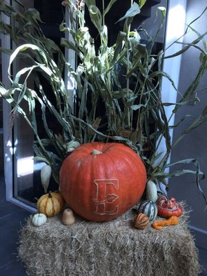 Fall display