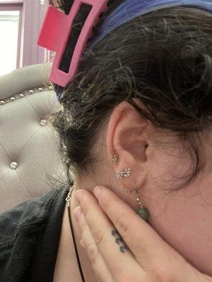 Top two piercings done on both ears but only one side in photo