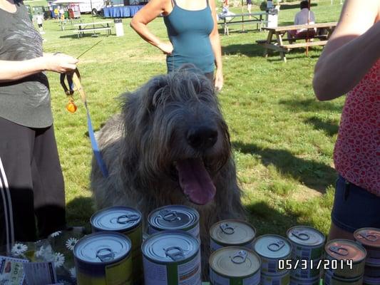 Murphy asking for a treat at SFD PetFest