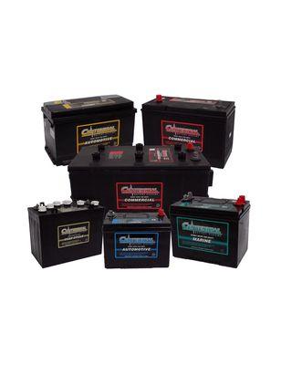 Exide Battery Sales