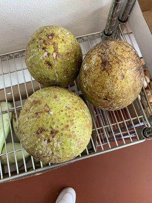 Roasting Breadfruit