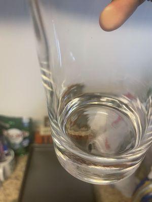 Mouse dropping in my cup that I almost drank out of