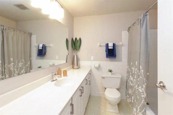 Bathroom in an updated one-bedroom. Has a large counter top with full wall mirror. Tons of cabinet and counter space. Even a linen closet!