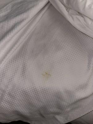 Stains on bed sheets