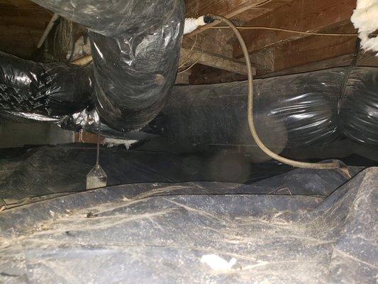 Since they did not seal the crawl space properly, rodents were able to get in and create new damage/leave hair, feces, and urine.