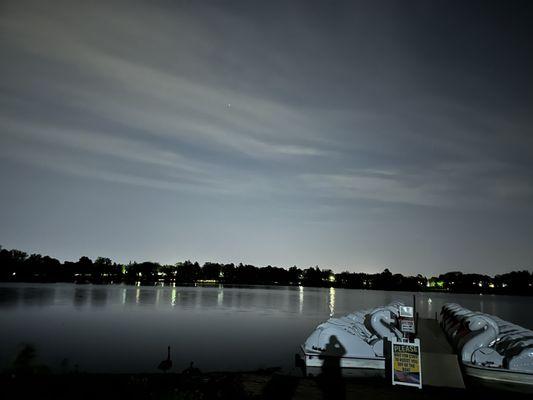 Swan boats at night