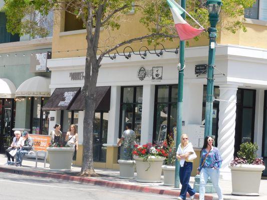 The many areas of County Center Little Italy is the many places when you come up the street from the Trolley the adventure begins.