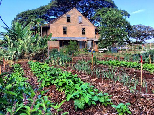 Hale Puna, formerly known as the Gulick-Rowell House, was completed in 1830 and is currently being restored.