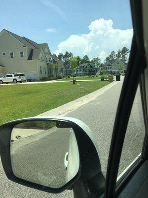 Turf was replaced from curb to fire hydrant (depth) and from just above the car mirror to the box by the trash can (width)