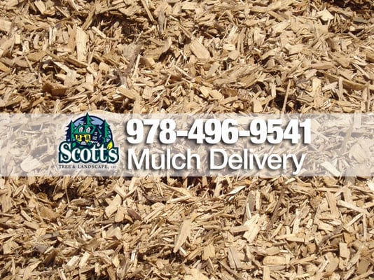 Wood Chips available for pickup or delivery to Concord, Carlisle and Wesford, MA. 3 yard minimum.