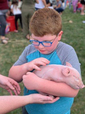 Petting zoo