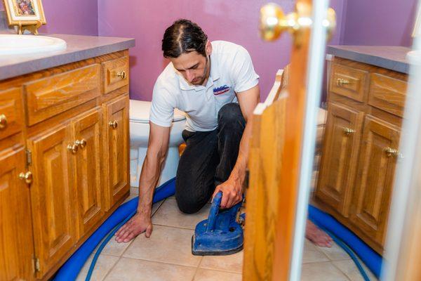 Milwaukee Area Carpet Cleaning