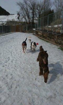 We were skiing and our pup was playing!  Great kennel!