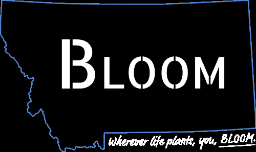 Bloom Weed Dispensary Missoula