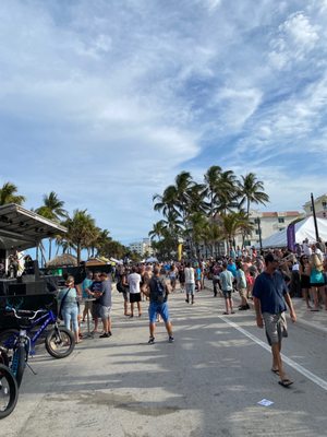 Ocean Brews & Blues Festival