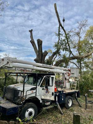 Cut Right Tree Service is fully equipped to handle your tree removal needs in the Chattanooga area!