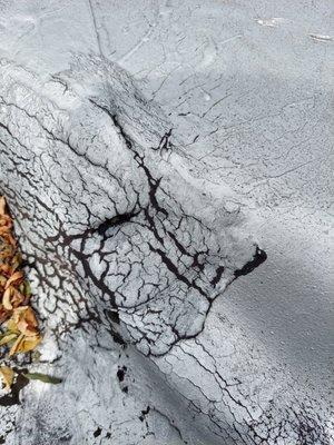 Damaged roof visit