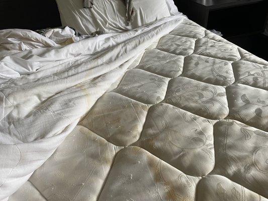 Urine stained mattress