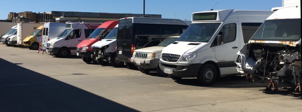 West Coast Sprinter yard