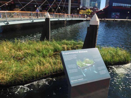 McLaren led the design of the first of its kind 15,000-sq-ft floating wetland and prototype installation for the National Aquarium.