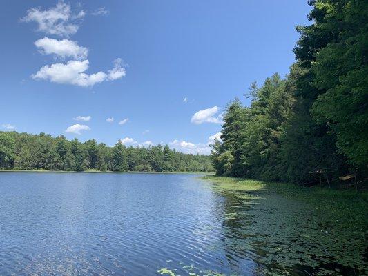 Goose Pond Scout Reservation