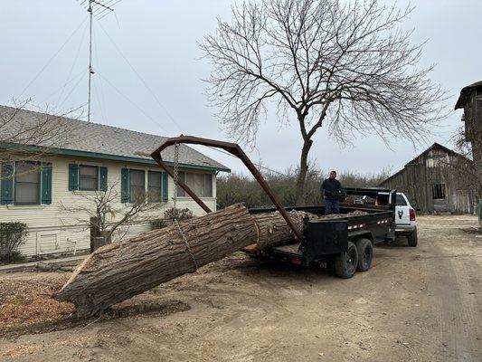 R&D Tree Service