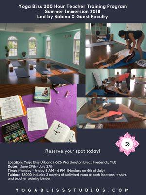 Summer 200 Hour Teacher Training at Yoga Bliss Urbana starts this July!