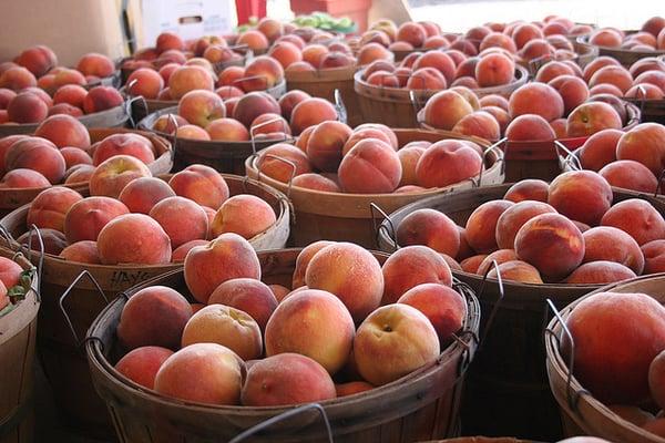 Palisade Peach Festival - Palisade, CO