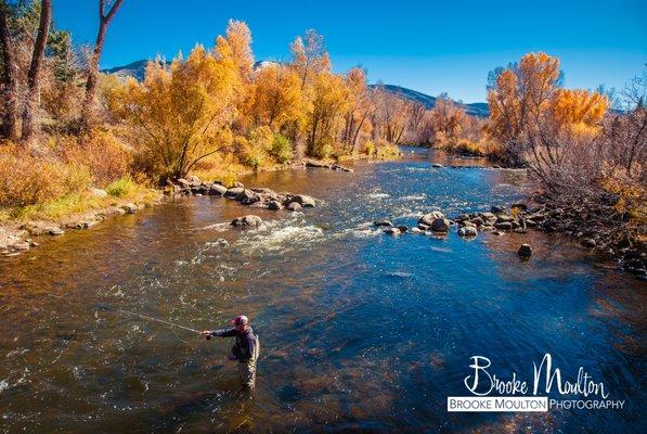 Family & Lifestyle Photography in Boulder County, Colorado