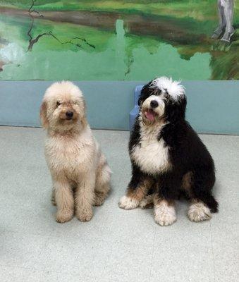 Murphy & Tucker smiling for the photo :)