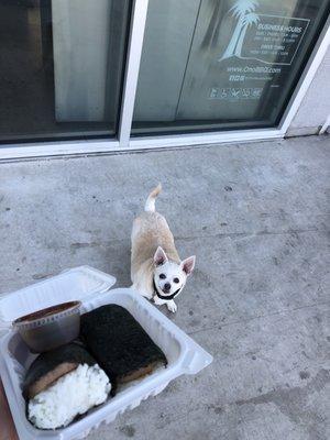 Spam Musubi (ARCHIVED)