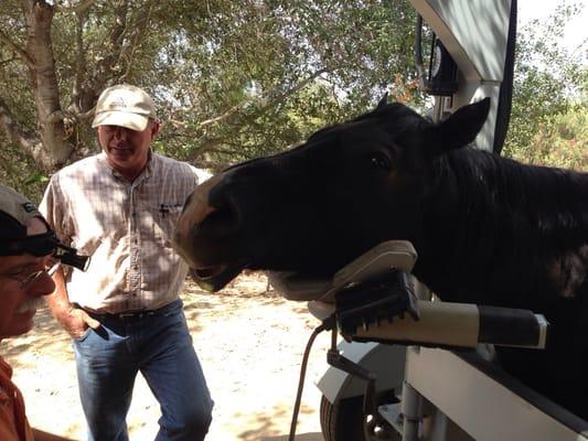 Mike, Dr Matt & Cisco. Cisco very relaxed by a little bit of drugs.