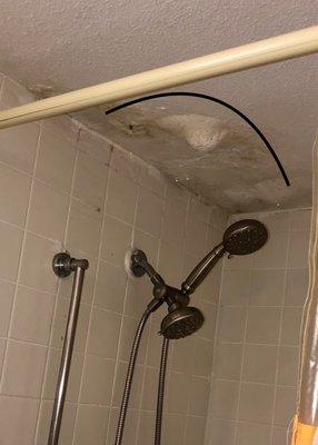 This was a scary shower stall, with all sorts of plaster and sheetrock built up upon itself, I guess to stop a bad leak.