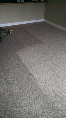 Carpet Cleaning