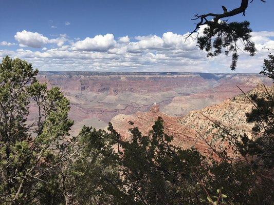 The south rim of the Grand Canyon