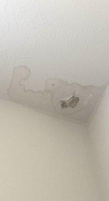 Black mold in the ceiling.. nothing was done after multiple requests to fix.