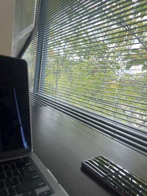 one of the many tables overlooking the tennis courts outside. there are bookshelves lined up to my left.