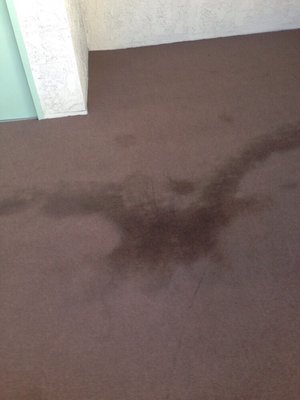 heavy stain in common area at an apartment complex in Santa Monica ... completely removed