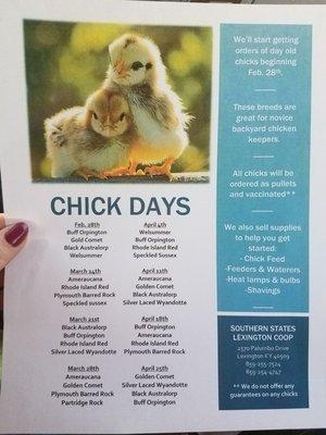 Chick Days