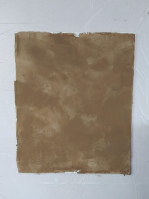 Sample of Venetian Plaster for Interior Accent Wall