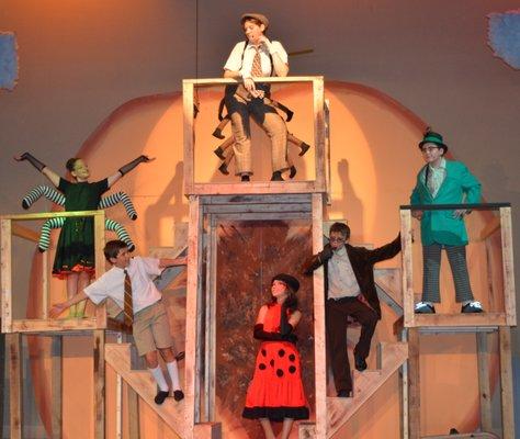 James and the Giant Peach - 10-14 year old summer musical 2018