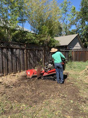 Stump Grinding in Sonoma