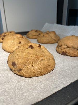 Golden chocolate chip cookies hot out of the oven