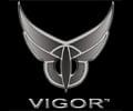 Vigor Gaming Computer